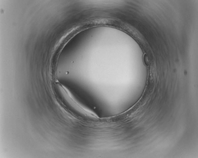 X0000070880722200607150145