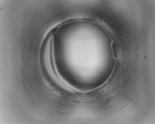 X0000070880724200607150145