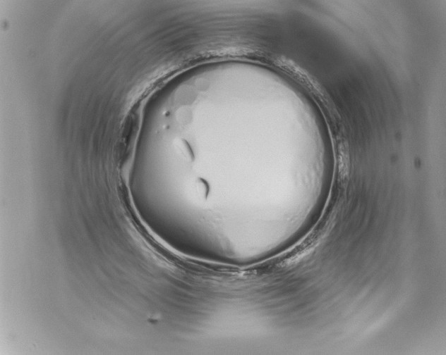 X0000070880725200607150145