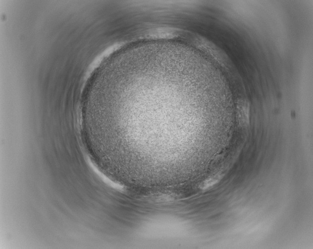 X0000070880726200607150145