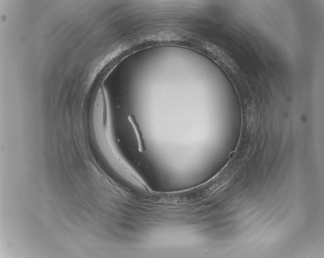 X0000070880727200607150145