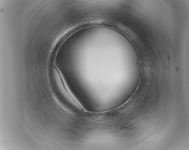 X0000070880728200607150145