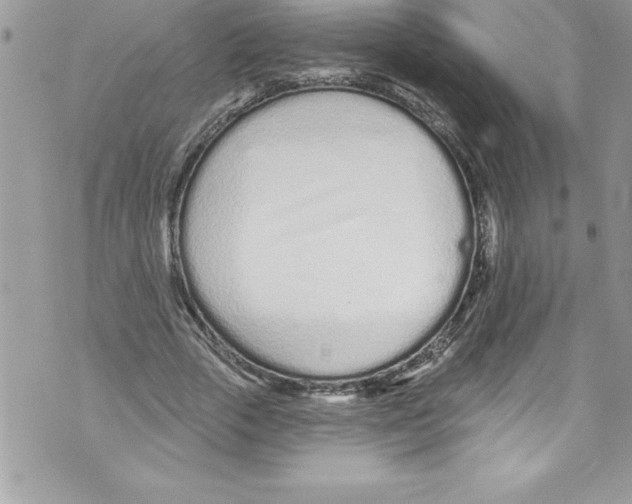 X0000070880729200607150145