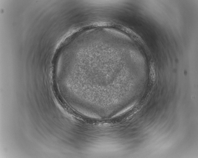 X0000070880730200607150145