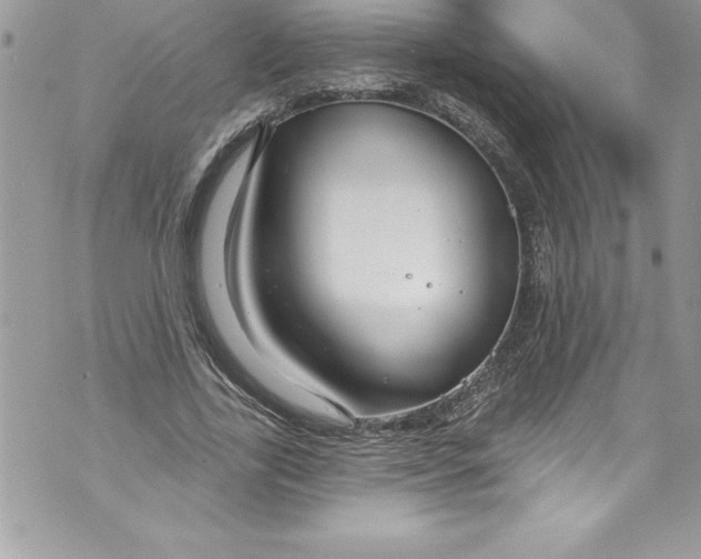 X0000070880731200607150145