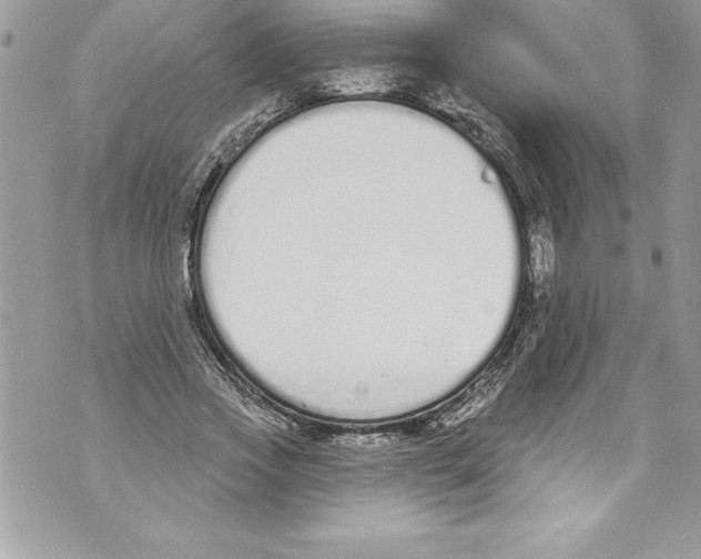 X0000070880733200607150145