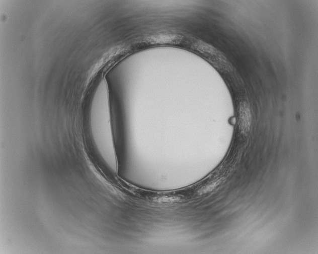 X0000070880734200607150145