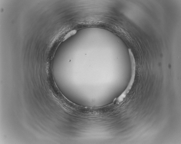 X0000070880735200607150145