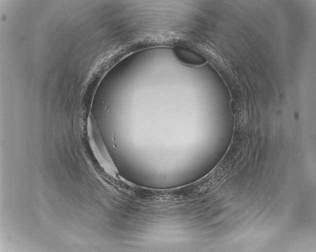 X0000070880736200607150146