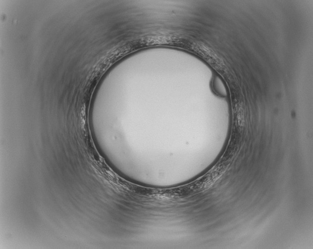 X0000070880737200607150146