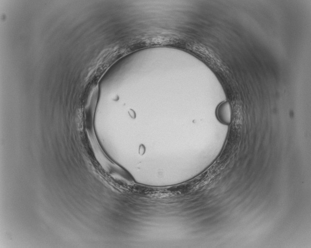 X0000070880738200607150146