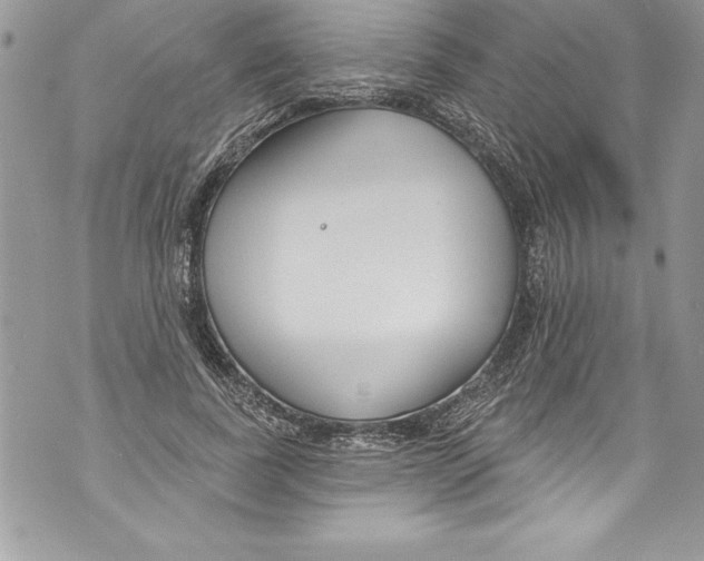 X0000070880739200607150146