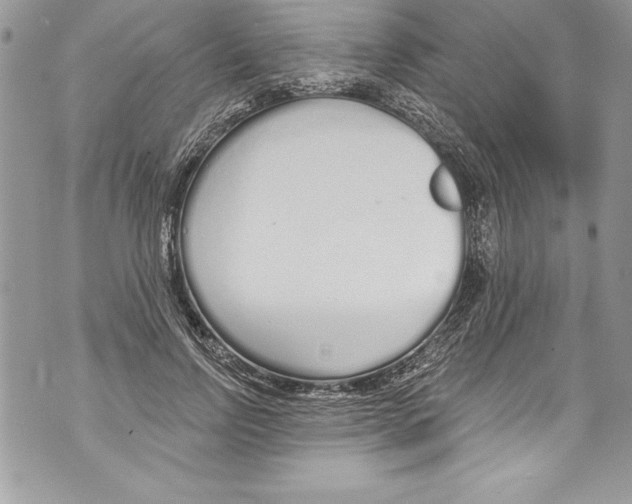 X0000070880742200607150146