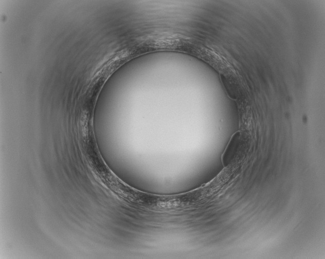 X0000070880744200607150146