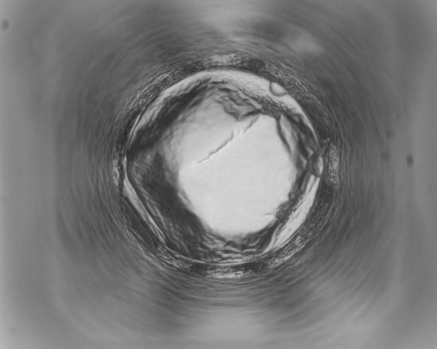 X0000070880746200607150146