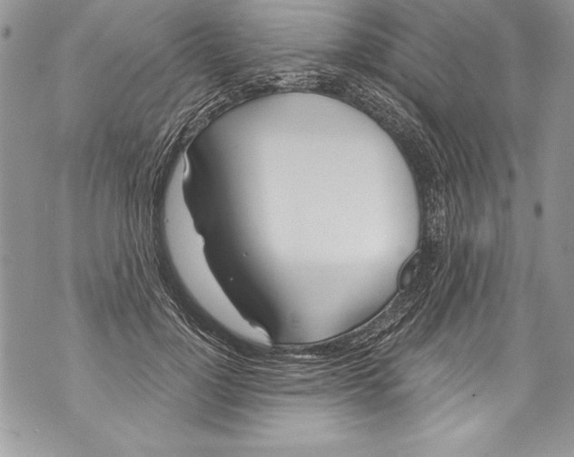 X0000070880748200607150146