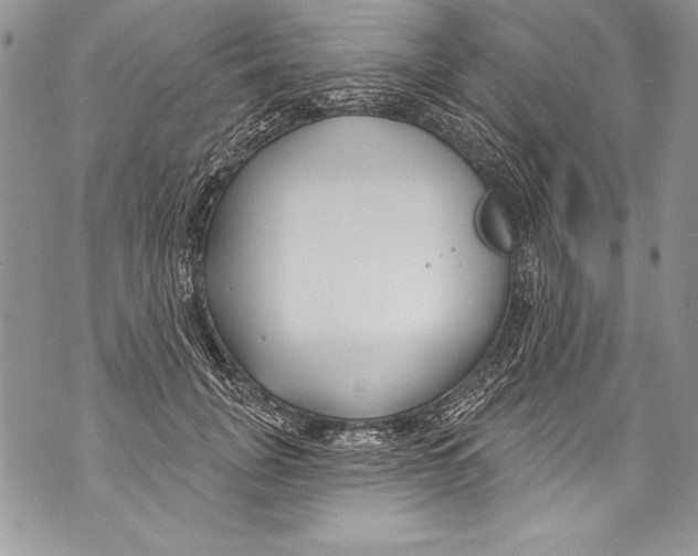 X0000070880751200607150146