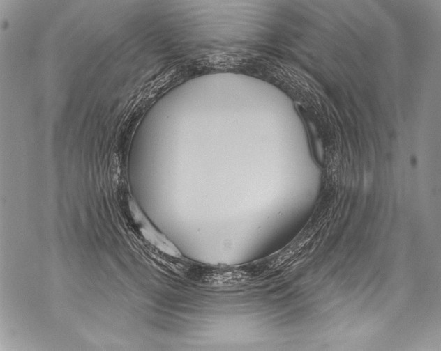 X0000070880752200607150146