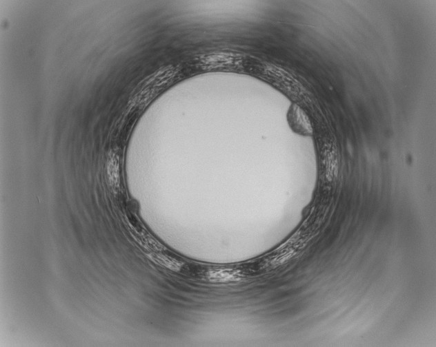 X0000070880753200607150146