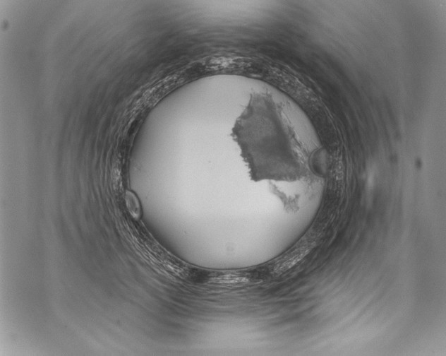 X0000070880754200607150146