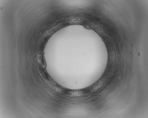 X0000070880755200607150146