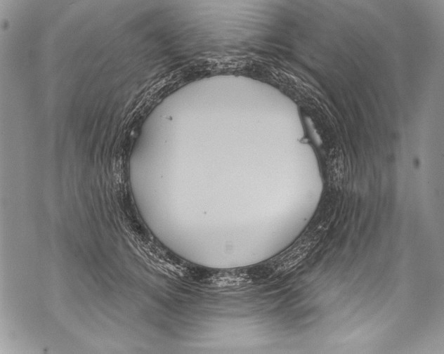 X0000070880756200607150146