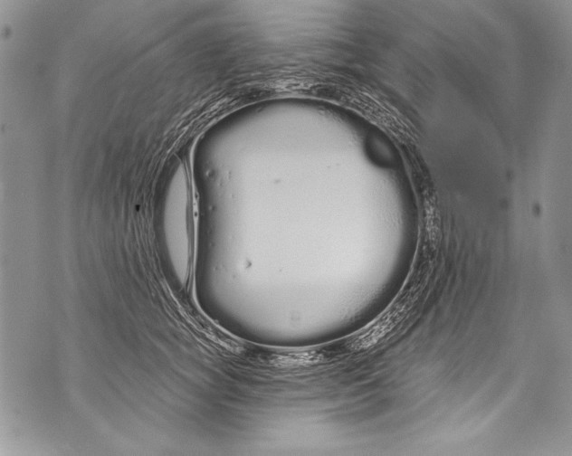 X0000070880757200607150146