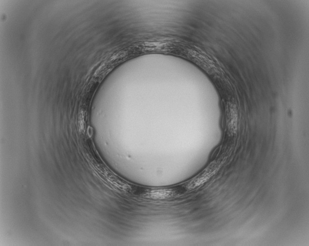 X0000070880758200607150146