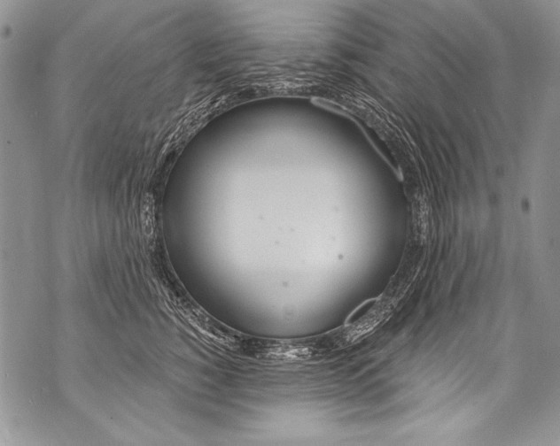 X0000070880760200607150146