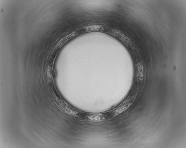 X0000070880761200607150146