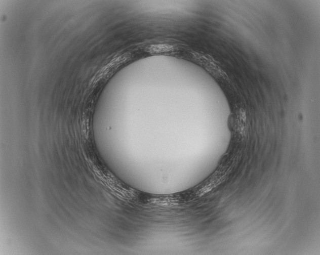 X0000070880763200607150146