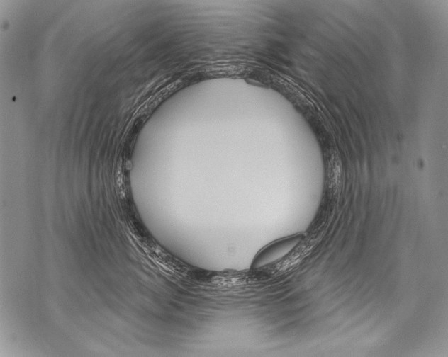 X0000070880764200607150146