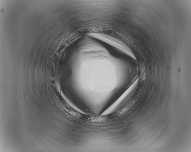 X0000070880766200607150146