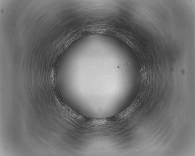 X0000070880767200607150146