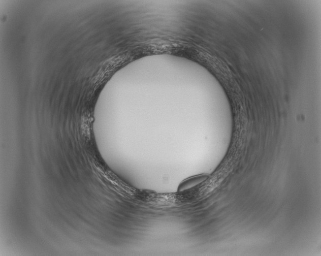 X0000070880768200607150146