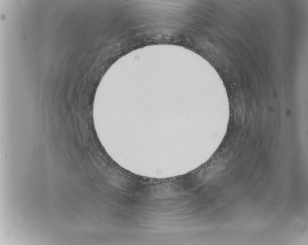 X0000070880769200607150145