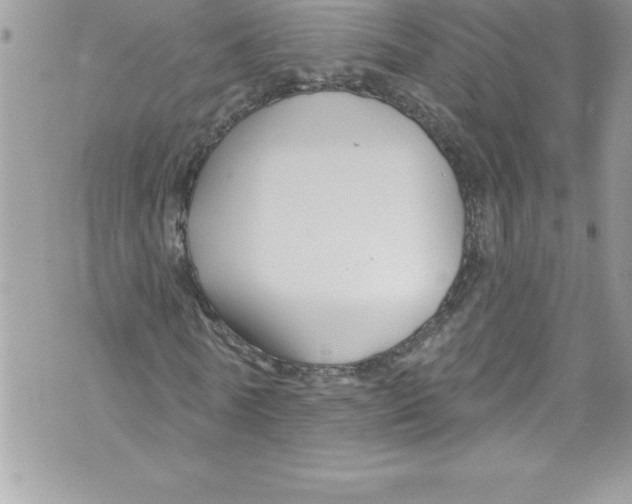 X0000070880770200607150145