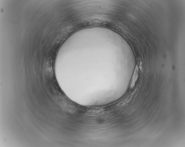 X0000070880771200607150145