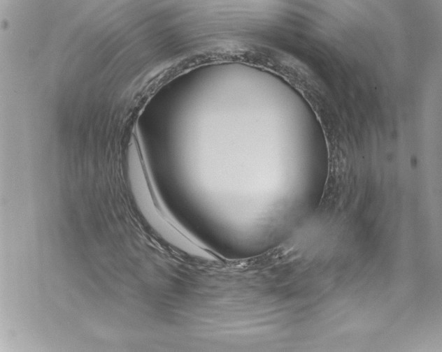 X0000070880773200607150145