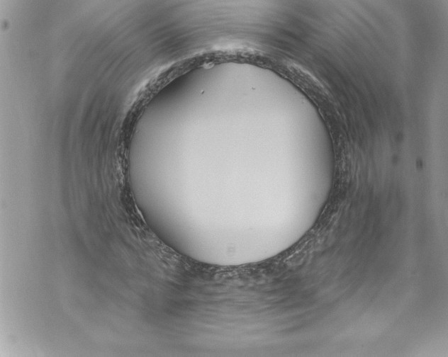 X0000070880776200607150145