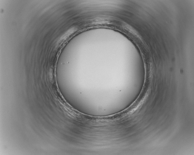 X0000070880777200607150145