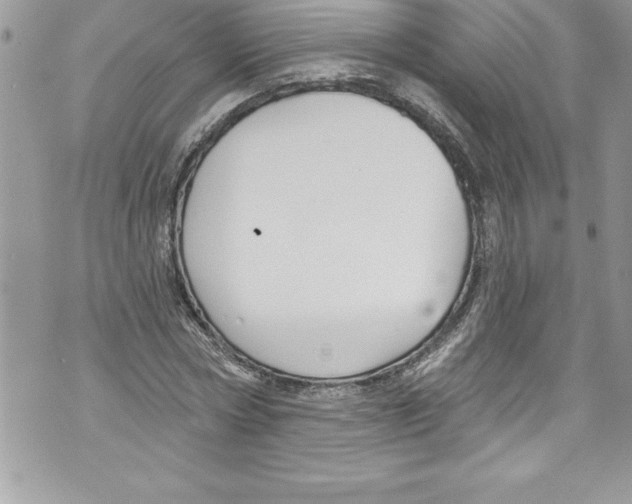 X0000070880778200607150145