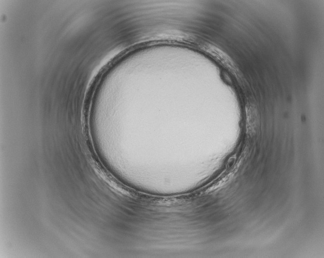 X0000070880780200607150145