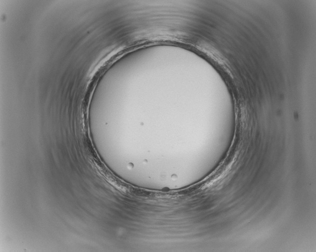 X0000070880782200607150145