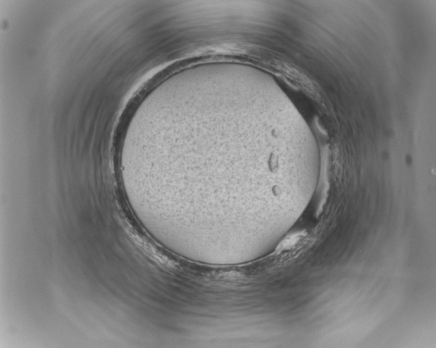 X0000070880784200607150145