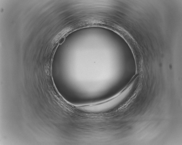 X0000070880785200607150145