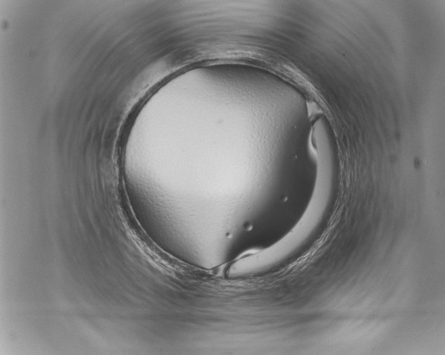 X0000070880787200607150145