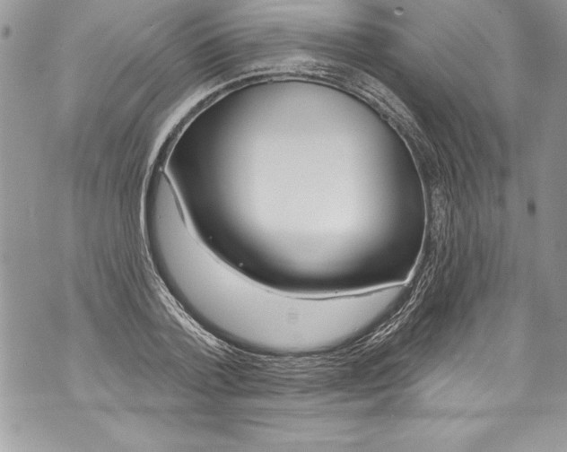 X0000070880788200607150145