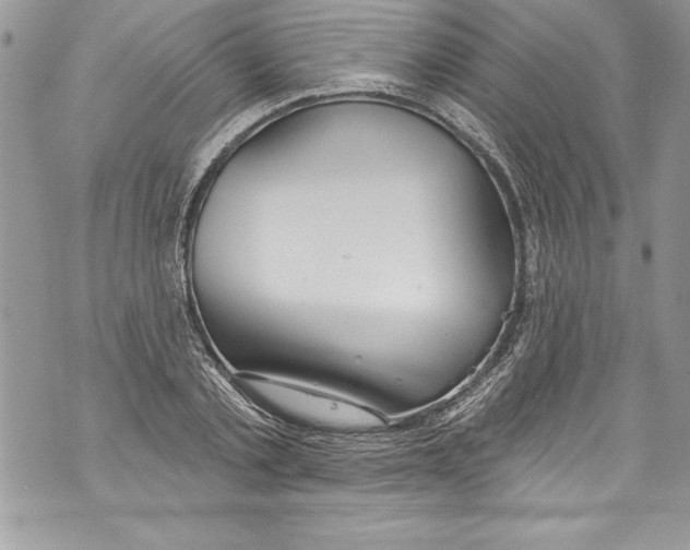 X0000070880789200607150145