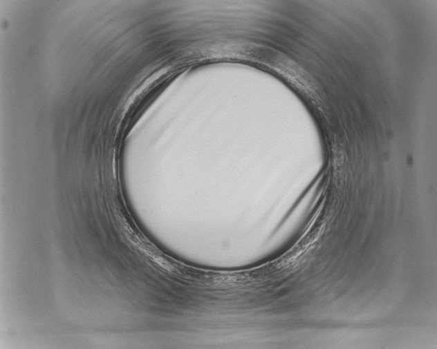 X0000070880790200607150145